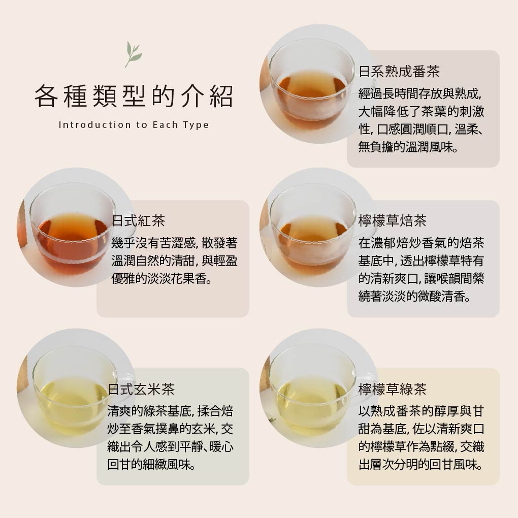 靜岡- 無咖啡因生物分解茶包系列