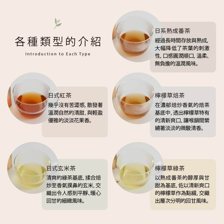 靜岡- 無咖啡因生物分解茶包系列