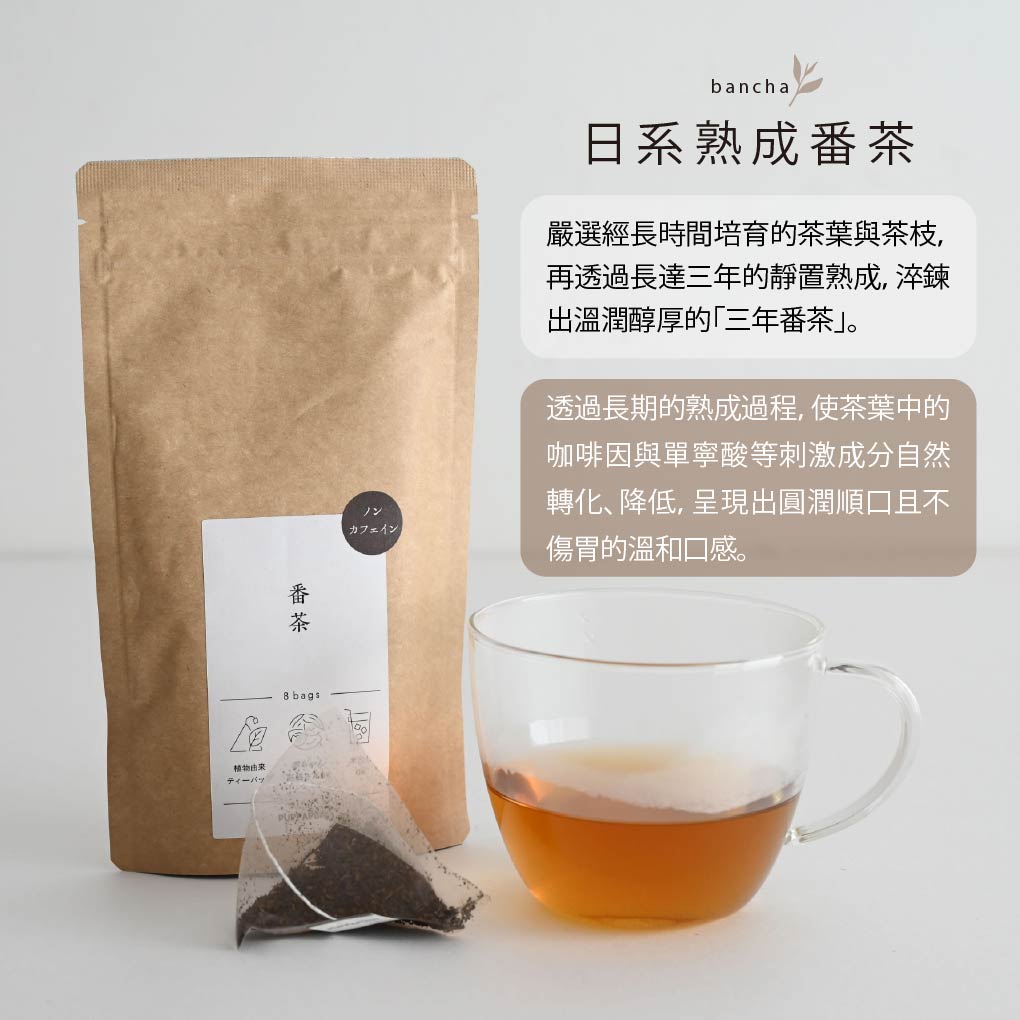 靜岡- 無咖啡因生物分解茶包系列