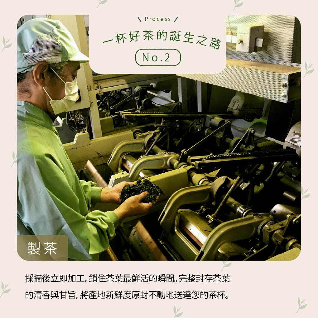 靜岡- 無咖啡因生物分解茶包系列