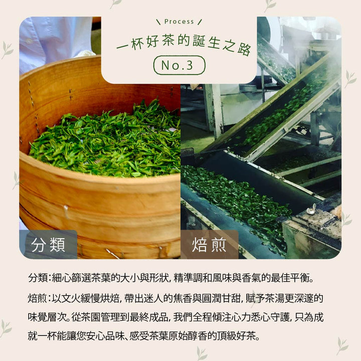 靜岡- 無咖啡因生物分解茶包系列